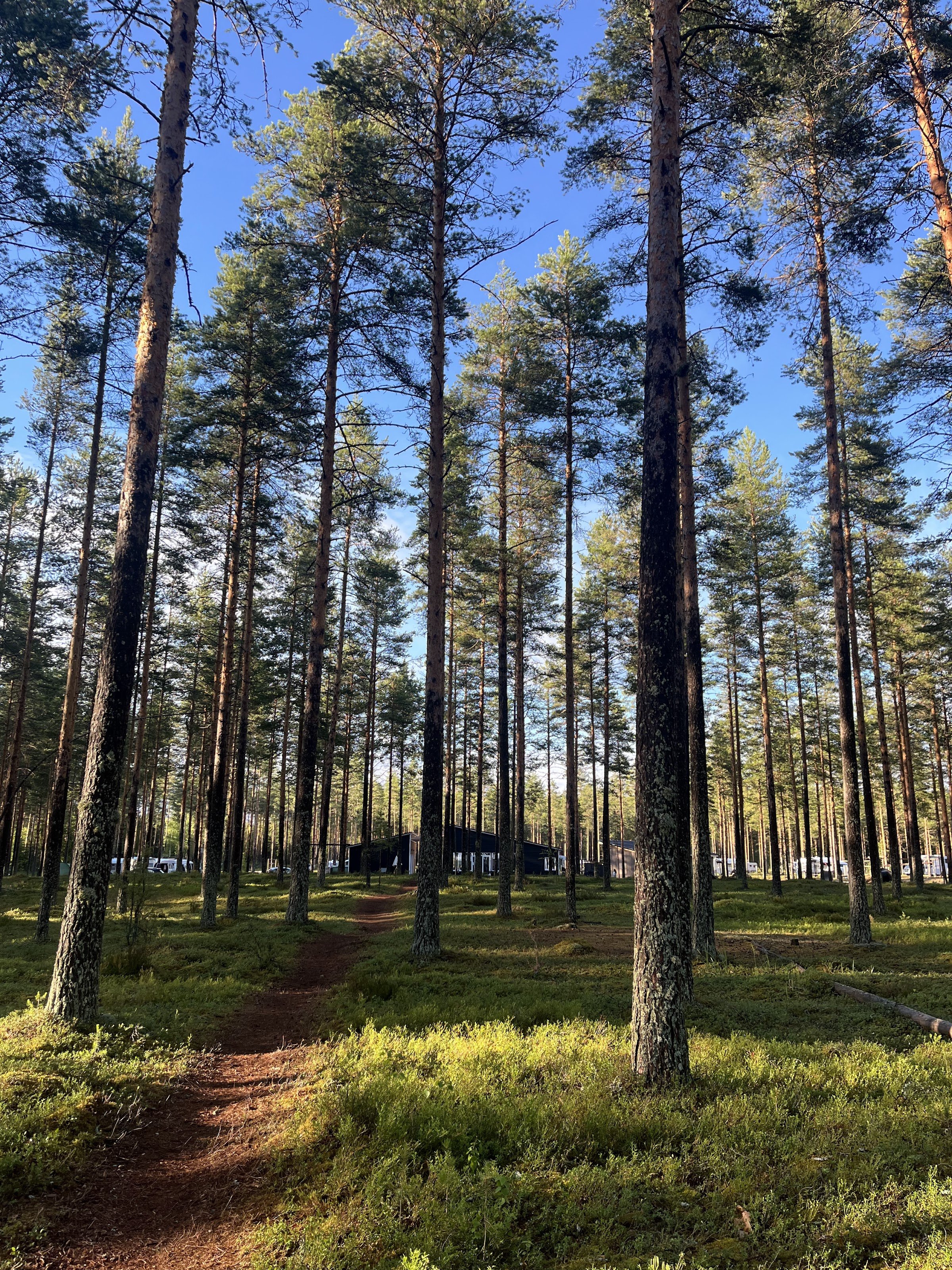 Pistocamp (Pistohiekanraitti 79) — Puumala, Saimaa